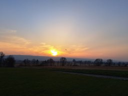 fliegen0903 14